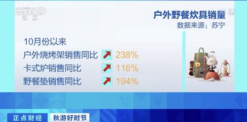 野餐熱潮帶動周邊產品銷量暴增，三河企業管理訂單火爆排至明年二月