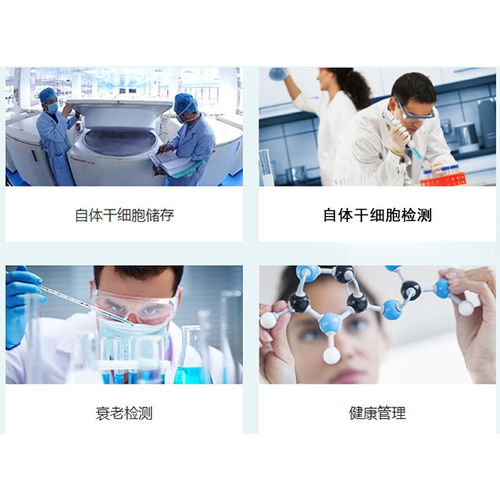 探索未來健康保障 河北盛世利眾生物臍帶間充質(zhì)干細胞保存與信息服務解析